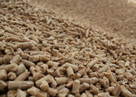 Granulés de bois