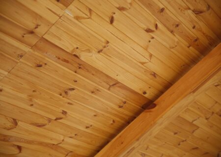 Lambris / Planche de sous-face