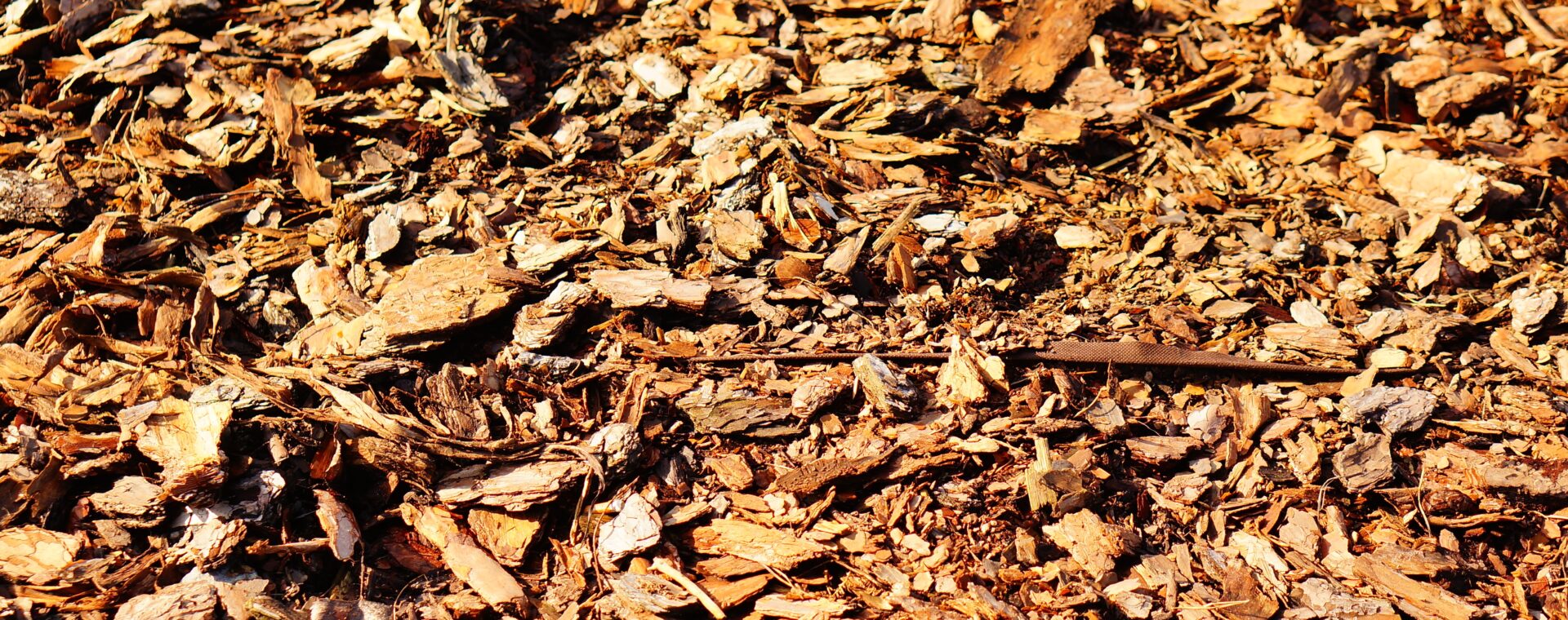 Trociny, zrębki i&nbsp;zrzyny