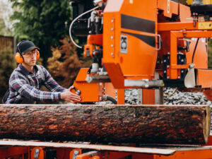 Papierówka z&nbsp;drewna iglastego